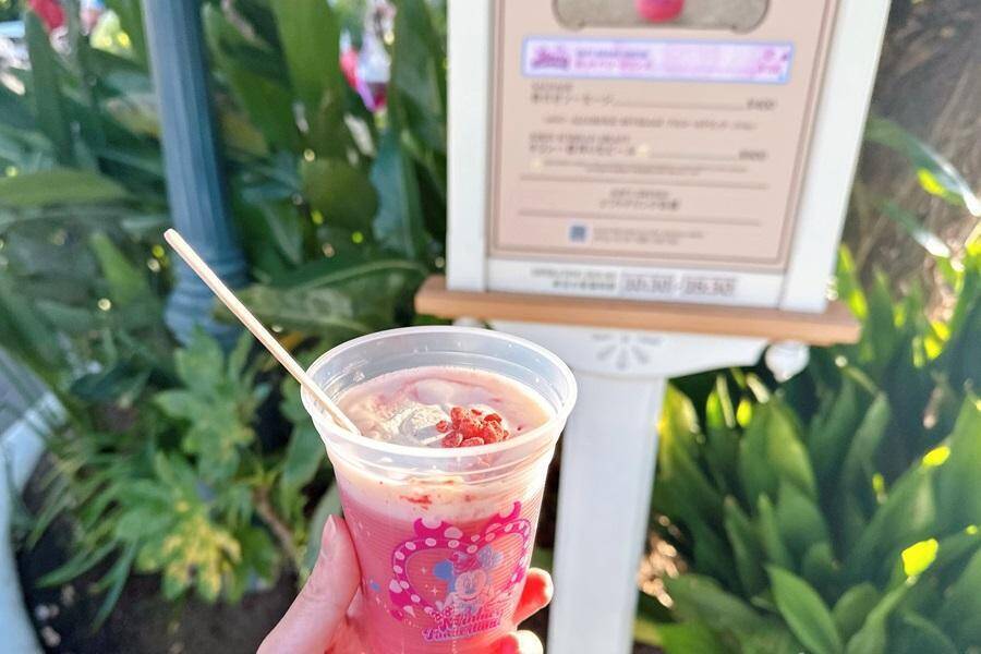 【2026年最新版】冬ディズニーで何度でも飲みたい！推しホットドリンク4つ《編集部レポ》