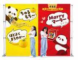 「【6月19日・新宿】先着5000人に「中華房 麻辣燙 黄色のトマト味」を無料配布！試食やクーポンの配布もあるよ。」の画像5