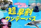 「夏にシーパラ行くなら「超早割ワンデーパス」がお得。最大1400円引きチケットが買えるのは7月2日まで」の画像2