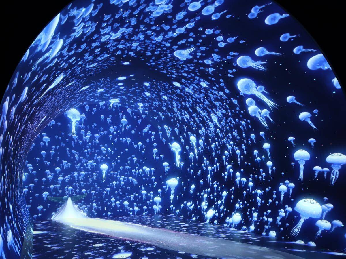 関内駅すぐの最新映えスポット「ワンダリア横浜」一部が公開。圧倒的な没入感で大バズりの予感。《先行レポ》