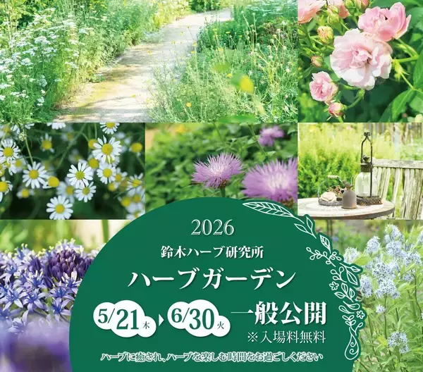 【茨城】入園無料！500種類以上のハーブが見ごろを迎える「鈴木ハーブ研究所ハーブガーデン」《6月30日まで》