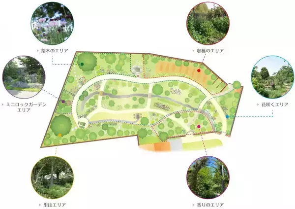 「【茨城】入園無料！500種類以上のハーブが見ごろを迎える「鈴木ハーブ研究所ハーブガーデン」《6月30日まで》」の画像
