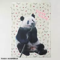 朝シャンブームから30年 ちゃん リン シャン 覚えてますか 16年8月18日 エキサイトニュース 2 3