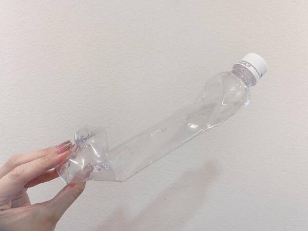 https www excite co jp news article bg mania 2021 2 403539 image 7