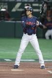 「大谷翔平だけじゃない！WBCのイケメン、注目選手は？野球初心者でも楽しめるガイドブックで推しが見つかるかも...！」の画像2