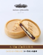 話題の仙台銘菓「シーラカンスモナカ」が新宿高島屋で買える！6月13日と27日限定。