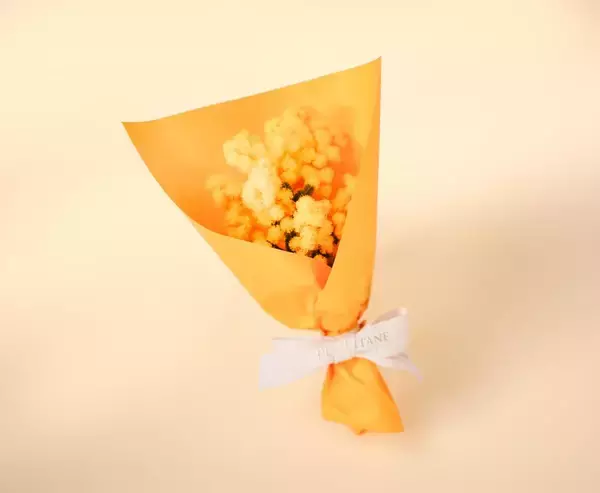 【ロクシタン】一部店舗でミモザのミニブーケをプレゼント。6600円以上の購入が対象、各日先着30人まで《国際女性デー》