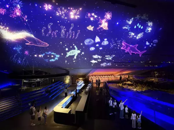 すみだ水族館、今なら中学生以下＆グループ入場がオトク。入場料金が割引になる特別チケットは9月24日まで販売。