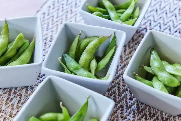 「【平日限定】しゃぶしゃぶ温野菜に「鍋飲みセット」登場！選べる鍋＋2時間アルコール飲み放題で税抜1980円は嬉しい《4月24日まで》」の画像