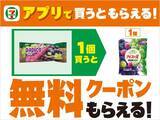 「セブンで「爽」のアイスや「ホームパイ」などの無料券を大量追加！アプリ会員限定で「アイスの実」も登場《8月12日まで》」の画像8