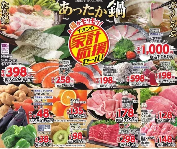 【イオンのチラシ】じゃがいも、にんじん、なすが51円でお買い得！20日は「お客さま感謝デー」で5％オフに