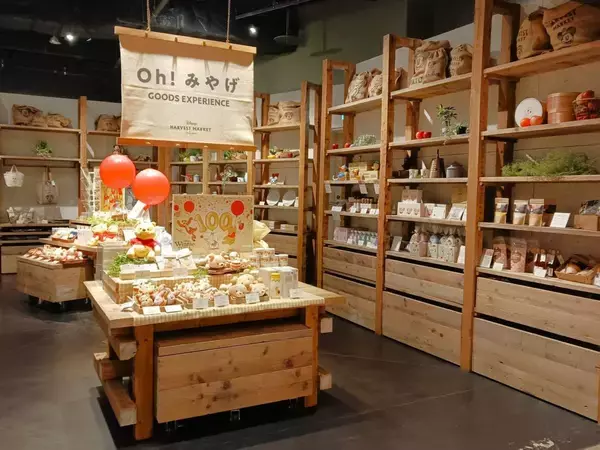 「【渋谷＆横浜】くまのプーさんの期間限定アフタヌーンティーを実食レビュー。野菜とフルーツたっぷりでヘルシー♡《9月末まで》」の画像