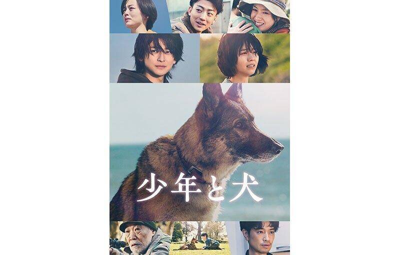 「少年と犬」「お嬢と番犬くん」など話題作が見放題。Prime Video、4月の新着作品は？