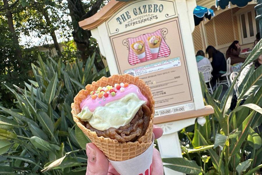 東京ディズニーランド、すでに"ヴァネパル"の世界に染まってる♡ビッグサイズの「パルパルーザ・パルフェ」は要チェック！《編集部レポ》