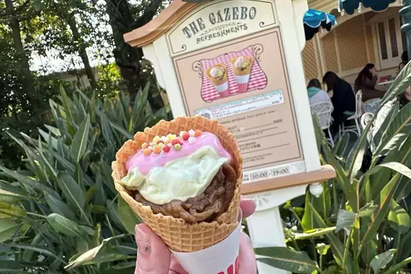 「東京ディズニーランド、すでに"ヴァネパル"の世界に染まってる♡ビッグサイズの「パルパルーザ・パルフェ」は要チェック！《編集部レポ》」の画像