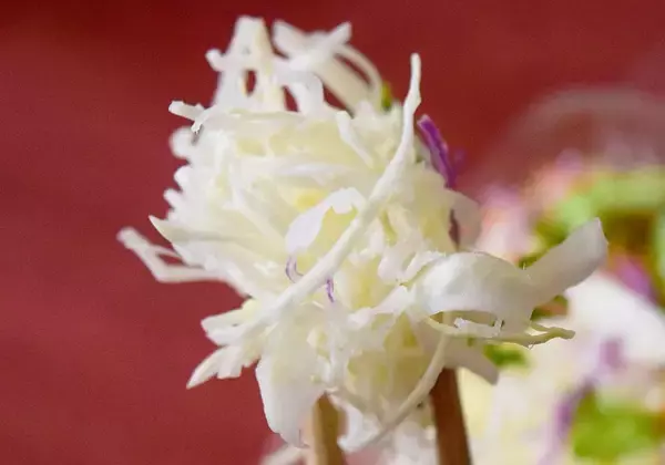 「コンビニ「ツナコーンサラダ」食べ比べ！似てるけどセブン・ローソン・ファミマで違いはあるの？《実食レポ》」の画像