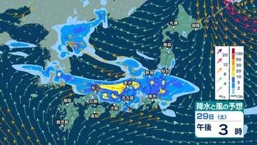 【 今後の雨 】雷を伴い非常に激しい雨や激しい雨　西日本では29日、北日本や東日本では31日にかけ大雨の所も【29日午前10時更新】