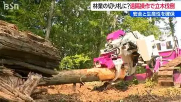 「人力によるチェーンソーの何と75倍の速さ！」無人の作業車が遠隔操作で大木伐採  安全性・生産性が飛躍的向上　新潟