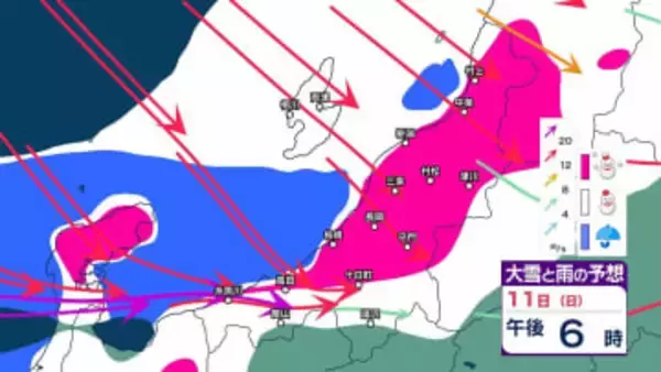 【 新潟の雪は？ 】11日(日)～12日(月祝)の降雪予想は上越・中越で山沿い70cm、平地30cm　警報級大雪の恐れも【15日午後3時までの雪のシミュレーション・10日午前11時更新】