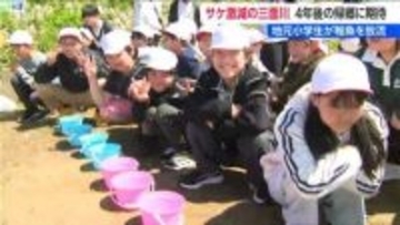 「大きくなって帰ってきてね」　　三面川で児童がサケの稚魚放流　漁獲量激減で『鮭のまち』が歴史的危機　新潟・村上市