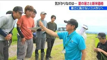 「今年いくらになるんだろう…」農家を悩ます“猛暑予報”と米どころ新潟で募る危機感　2025年産米の在庫は過去最大に