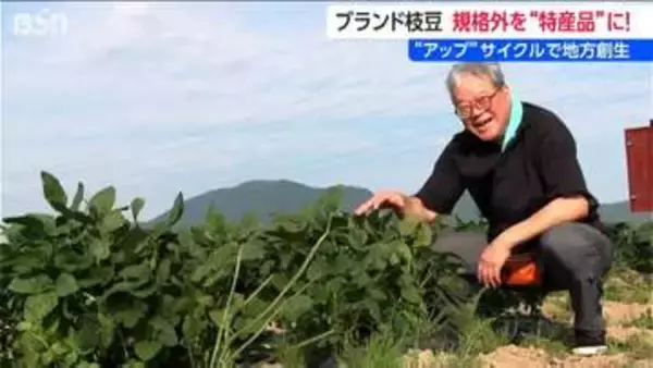 「何だこの甘みは！」日本一の枝豆県  新潟・弥彦村の“幻の枝豆” に惚れ込んだ仕掛け人   半分近くが規格外になる一級品をアップサイクルで特産品に