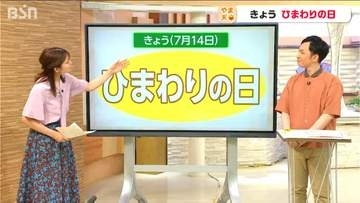 突然ですが… 7月14日は『ひまわりの日』なぜ？どうして??【気象予報士・山崎貴裕の解説】