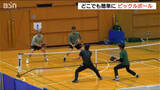 「「どこでも簡単に」新潟市でピックルボール大会」の画像1