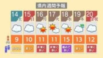 土日は寒く 18日の水曜日は花粉飛散量が『極めて多い』予想　新潟県内