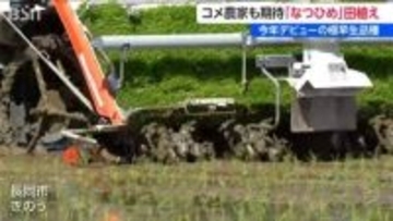 今年デビューの極早生新品種『なつひめ』田植え　高温耐性と味の良さが自慢　コメ農家も期待　新潟県
