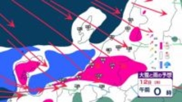 【 新潟の雪は？ 】3連休の11日(日)～12日(月祝)にかけて平地30cm、山沿いで70cmの降雪予想　暴風や高波にも警戒【14日午後3時までの雪のシミュレーション・9日午前8時更新】