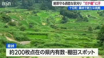絶景「星峠の棚田」  急斜面でガチにハードな草刈りボランティア 　通称 “ガチ棚” に22人が汗 　美しい景観の裏で深刻な担い手不足も　新潟・十日町市