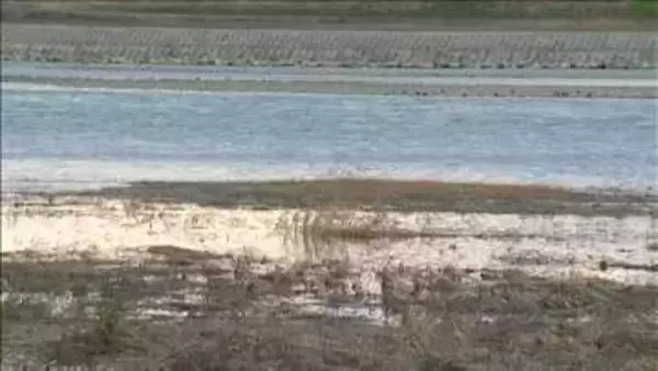 十日町市で行方不明だった当時中学3年生の樋口まりんさん 長岡市内の信濃川の中州で発見される　新潟県