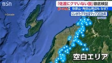 クマ出没相次ぐ新潟に目撃ゼロの “空白地帯” なぜ佐渡と弥彦山にはクマがいないのか？ 海峡と平野が隔てた生態系のフシギを徹底取材