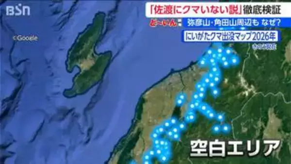 クマ出没相次ぐ新潟に目撃ゼロの “空白地帯” なぜ佐渡と弥彦山にはクマがいないのか？ 海峡と平野が隔てた生態系のフシギを徹底取材