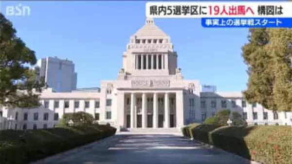 衆議院選挙が事実上スタート 5つの選挙区に19人が出馬する見込み(22日現在)その構図は？新潟県