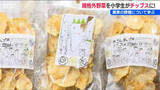 「「食品ロスを減らしたい」規格外の野菜を有効活用し小学生が考案『パリッとチップス』1時間で完売　新潟」の画像1
