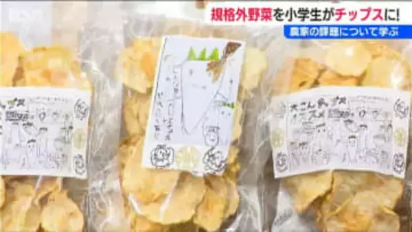 「食品ロスを減らしたい」規格外の野菜を有効活用し小学生が考案『パリッとチップス』1時間で完売　新潟