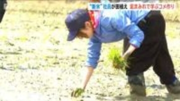 泥まみれの悪戦苦闘　菓子メーカーの“新米”社員54人が田植えに挑戦　新潟・阿賀野市