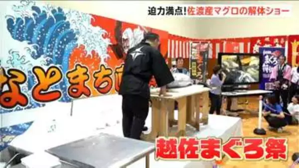 50キロの佐渡産マグロを解体　佐渡の魅力伝え上越と佐渡の往来促進へ　新潟・上越市