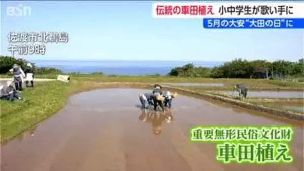 国の重要無形民俗文化財『車田植え』らせん状に苗が並ぶ田んぼは神様が降りてくるときの目印　新潟・佐渡