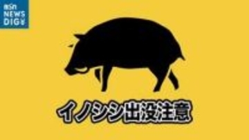 警察がパトロール中にイノシシ1頭を目撃　けが人なし　注意を呼び掛け　新潟市秋葉区
