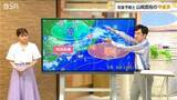 「この季節 雨が降っても「まだ梅雨入りしない」地域があるのはなぜ？【気象予報士が解く】」の画像1