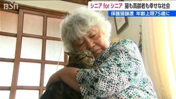 猫と高齢者「ふっと ここにいてくれる」新たな仕組みで共に幸せな社会『シニア for シニア』保護猫譲渡先の年齢上限引き上げ　新潟市