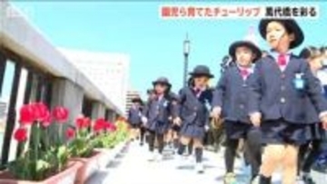 「園児・児童が育てた2万4000本」が春本番告げる 萬代橋チューリップ フェスティバル開幕