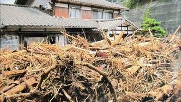 大雨で押し寄せた流木は「復興の証」だった　新潟・村上の豪雨災害が教える森の手入れ