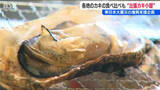 「「カキを多くの人に食べてもらいたい」宮城県産・瀬戸内産・能登産カキを食べ比べ 被災地支援の“出張カキ小屋”賑わう　新潟・燕市」の画像1