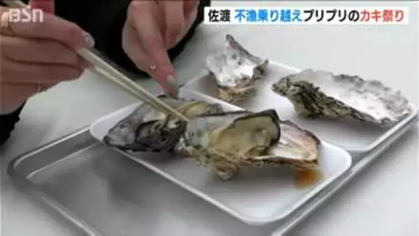 不漁乗り越えた佐渡のカキ　今シーズンは最高！　殻付きカキに大粒カキごはんはいかが？「佐渡牡蠣祭り」開幕　新潟・佐渡市