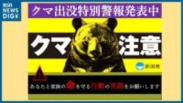 宿泊施設の駐車場で宿泊客の男性がクマに襲われ軽傷　新潟・湯沢町