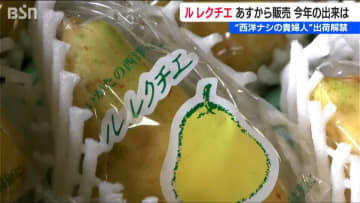 【解禁】“甘くてみずみずしい”西洋ナシの貴婦人『ル レクチエ』出荷「家族団らんの真ん中に」新潟県